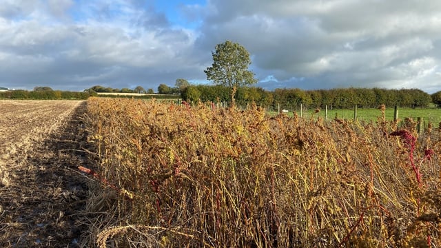 CAFRE creates online tool to assess habitat scores on farms