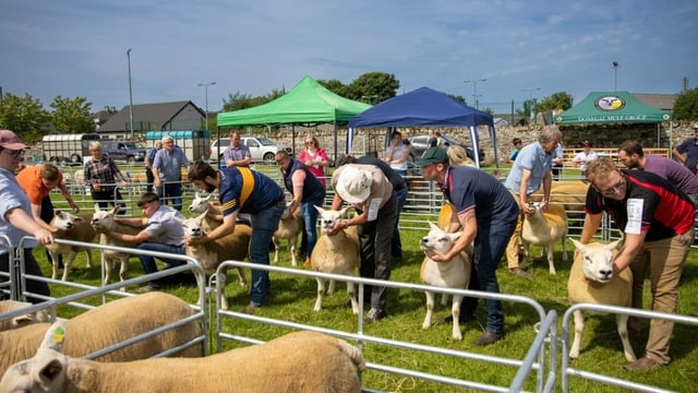 Oldcastle Agricultural Show lines up busy programme