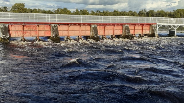 Relentless Shannon flooding leaves farmers in 'bad way'