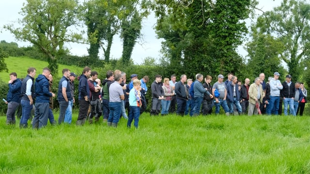 'I cull all empties, even the good cows' - Cavan dairy farmer