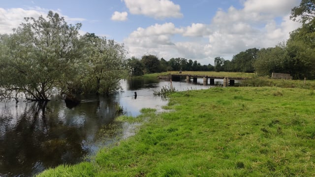 Video: Farmers seek compensation after Shannon flooding
