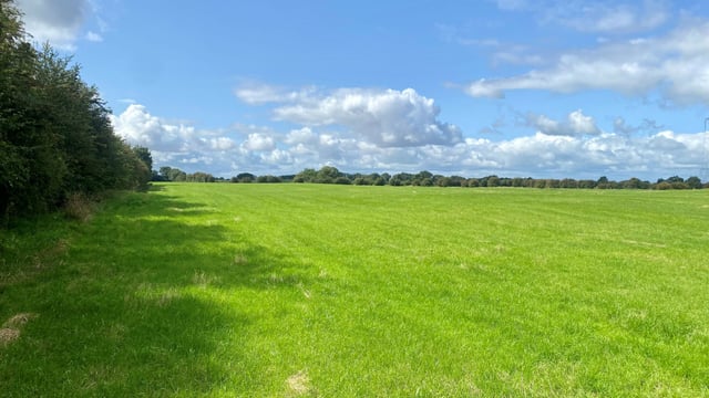 50ac for sale in The Curragh for €10,000/ac