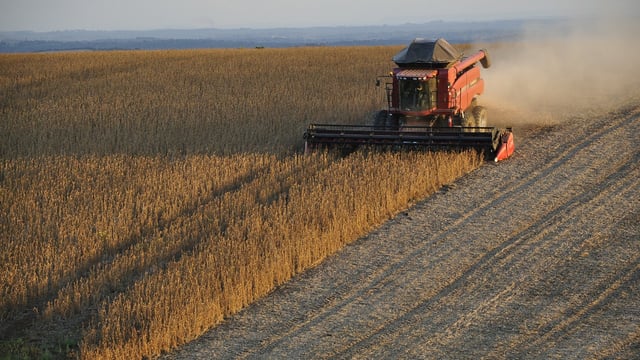 Value of agricultural production in Brazil to increase by almost 2%