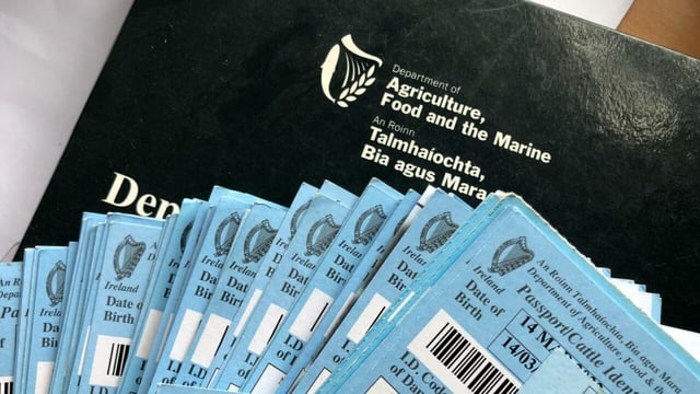 Over 200,000 cows had no calf registered last year