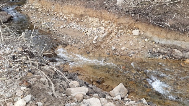 Two landowners fined €8,500 for 'ecological destruction' of 2 rivers