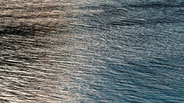 NI: No coastal water bodies or lakes achieved high ecological status in 2024
