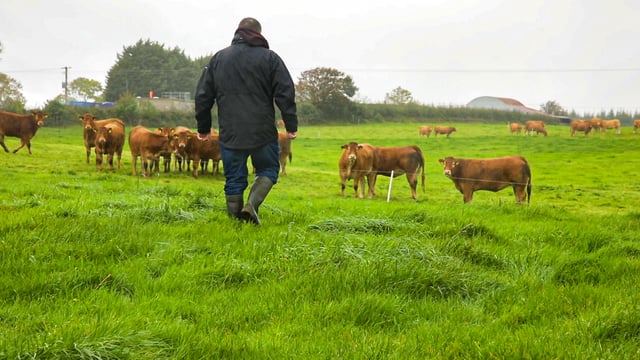 Over 1,600 farmers still waiting on 2024 advance ACRES payment