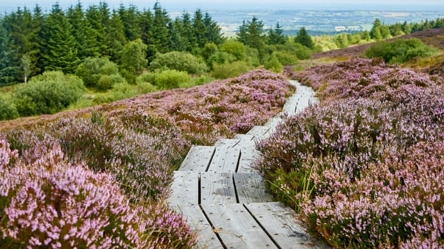 New €17m tourism project for former peat-dependent areas
