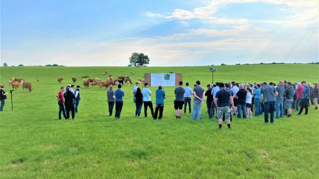 Kildalton Agricultural College to host suckler beef info event