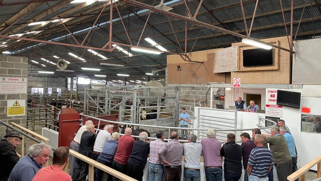 Mart report: General cattle sale at Clones