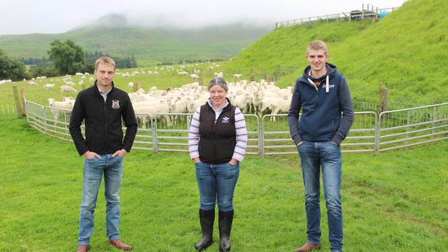 Genomics will 'revolutionise' performance in sheep sector
