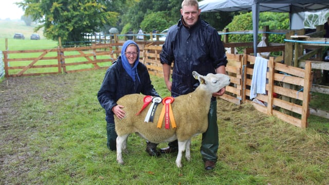 Record turnout of sheep at Fermanagh Show