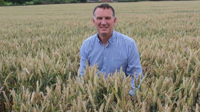 Arable update: Barley yields disappointing in Northern Ireland