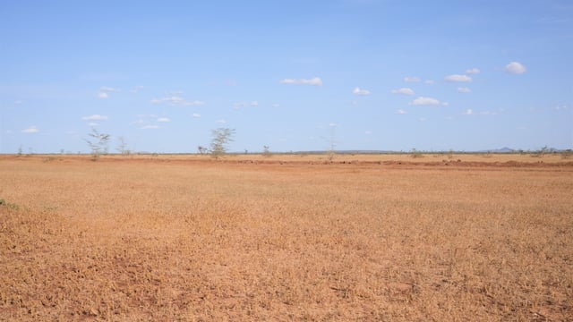 Ireland's role in climate finance for global loss and damage