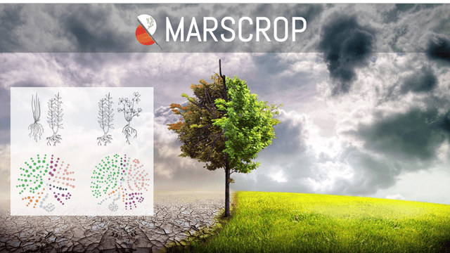Food security - could soil from Mars become fit for farming?