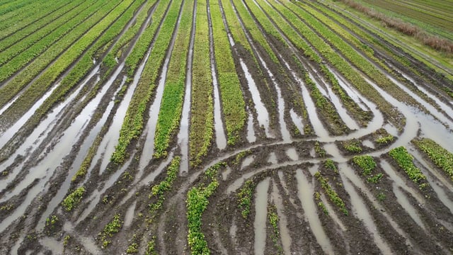 ICSA: Tillage support package will not 'mitigate the losses' on farms