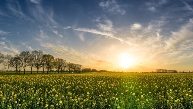 EU extends state aid crisis tools to support agri-sector