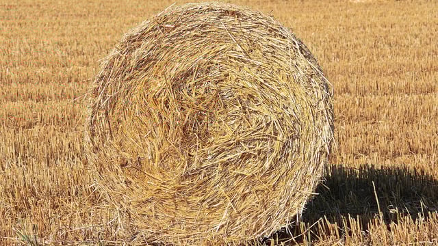 ICSA demands tillage farmer payment for baling straw