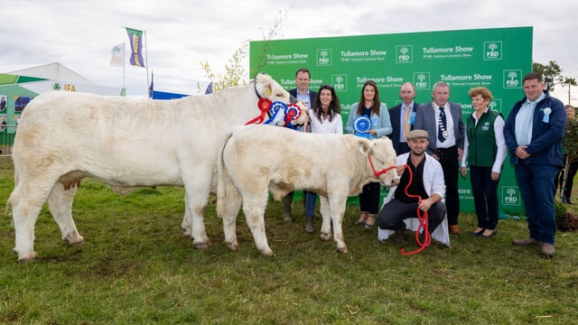 Gallery: Beef and dairy breed winners from Tullamore Show
