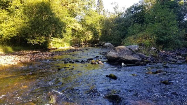 Water quality project to reward farmers in five catchments