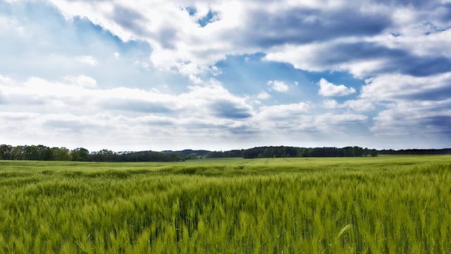 Climate Plan 2025: 'Actions' for land use include ACRES, manure and drained soils