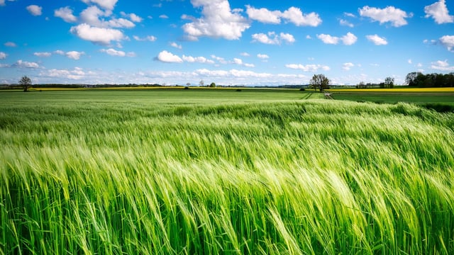 Heritage week: Linking agriculture and art via regenerative practices