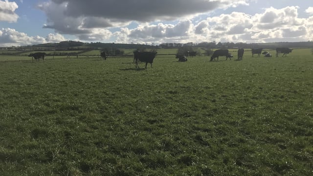 Robotic milking farm in Louth to host genetics and breeding event