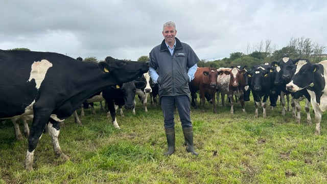 Dairy Throwback: ‘Milking cows is my therapy’ – Senator Lombard
