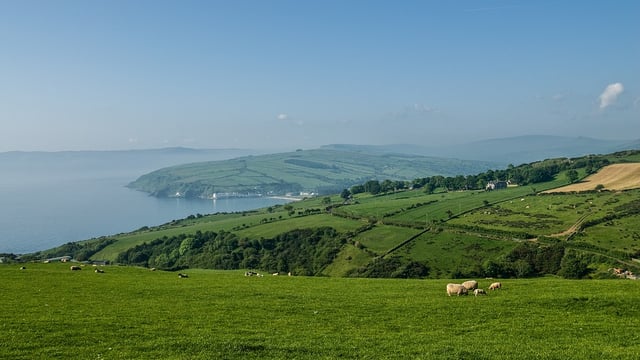 Council of EU ministers adopts new farm data network