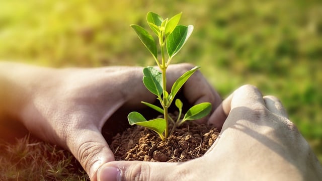Rural Independents: Govt needs to 'empower' rural communities