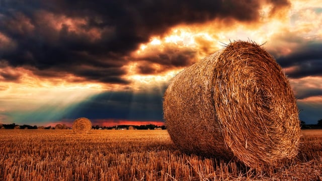 Met Éireann: 2 days of 'moderate drying conditions' ahead