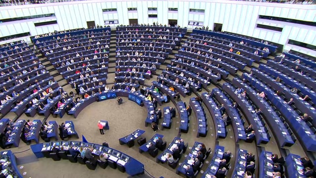 National Party leader to seek expansion of front-loading as MEP