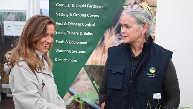 Taoiseach 'is misleading farmers' - Cairns