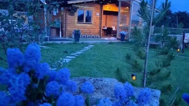 Laois couple's Ranch Cabins give insight into farming life