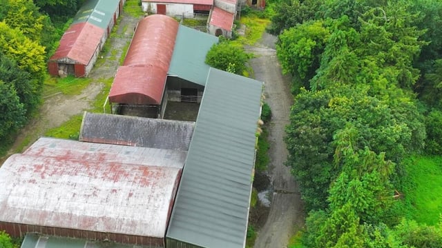 Cork's Mountkeeffe House with 122ac farm for sale