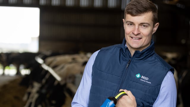 MSD Animal Health appoints new ruminant business unit director