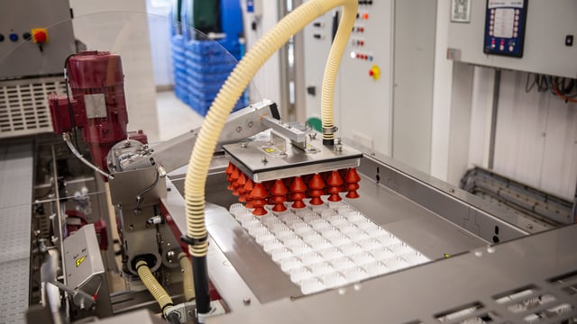 Egg-production tour in the Netherlands opens for applications tomorrow