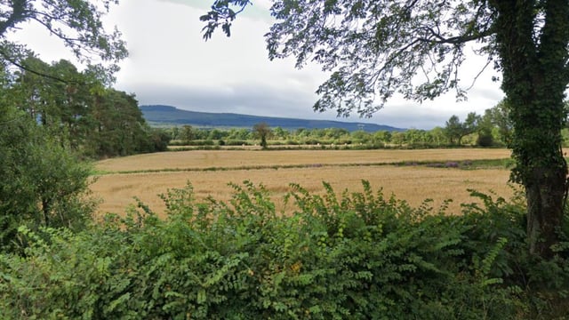 Monitoring and managing risks of grass weeds