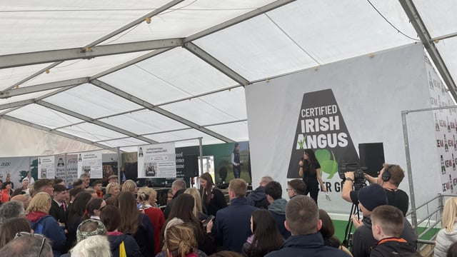 Students receive calves for Angus Schools Competition