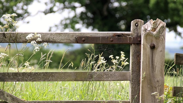 IFA wants 'farm activity' scheme for active farmers in CAP demands