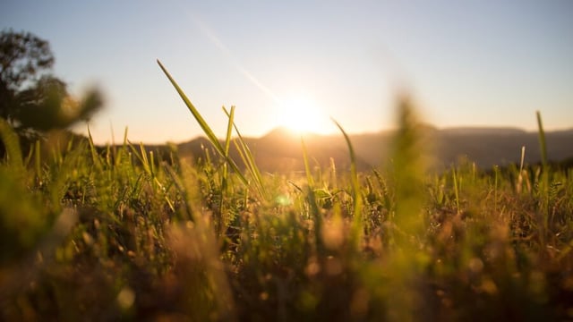 Met Éireann: 'Good drying conditions' for most of coming week