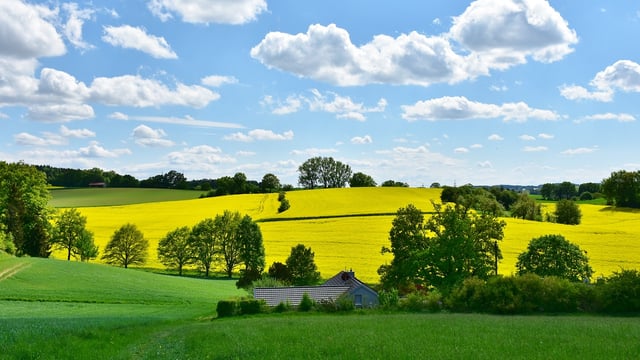 Report: Fewer 'one-off' houses secured planning permission in 2023