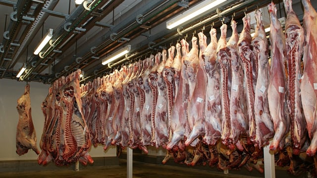 ‘Agreement in principle’ on national veterinary service for abattoirs
