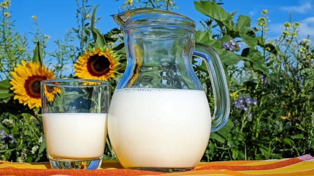 International prices for dairy products fell in August - FAO