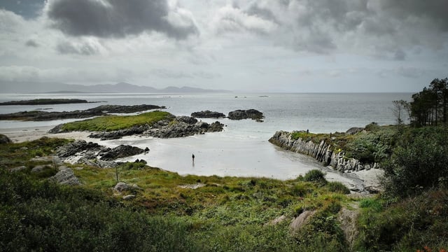Nature Restoration Law: Where is it currently at?