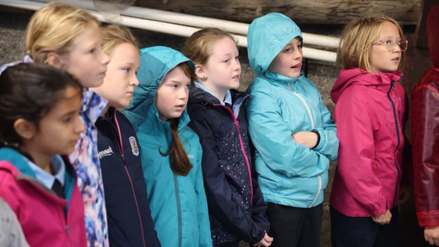 25,000 Irish school children take part in World School Milk Day