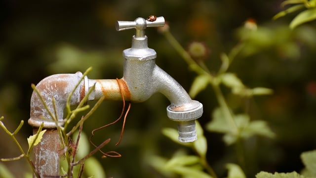 Water charges are a 'huge burden to farmers' - TD 