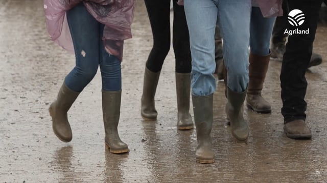 Ploughing 2023: 71,800 attend on second day