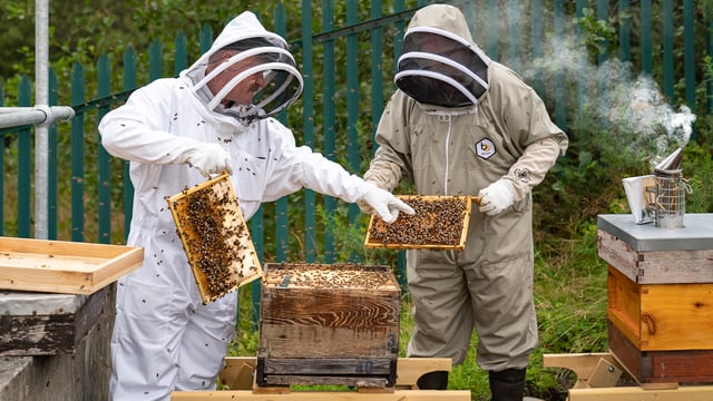 Mayo village reduces pesticide use to improve water quality