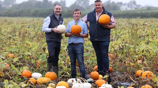 Lidl signs new €1.5m deal with family-run fresh produce firm